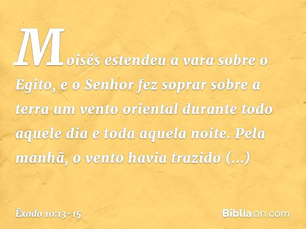 Moisés estendeu a vara sobre o Egito, e o Senhor fez soprar sobre a terra um vento oriental durante todo aquele dia e toda aquela noite. Pela manhã, o vento hav