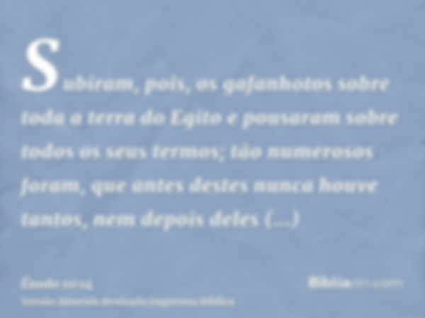 Subiram, pois, os gafanhotos sobre toda a terra do Egito e pousaram sobre todos os seus termos; tão numerosos foram, que antes destes nunca houve tantos, nem de