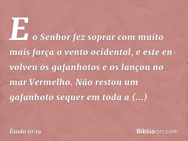 E o Senhor fez soprar com muito mais força o vento ocidental, e este en­volveu os gafanhotos e os lançou no mar Ver­melho. Não restou um gafanhoto sequer em tod