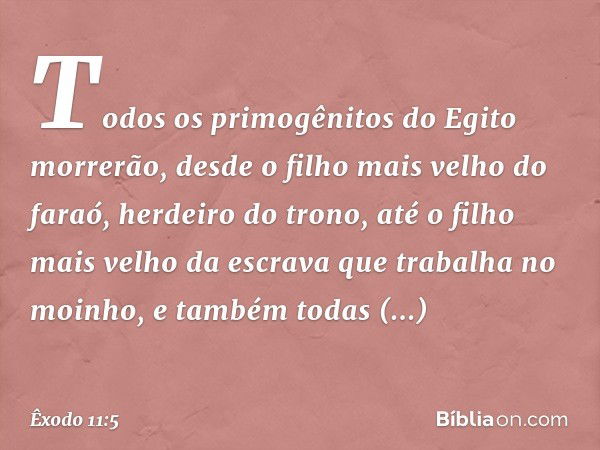 Todos os primogênitos do Egito morrerão, desde o filho mais velho do faraó, herdeiro do trono, até o filho mais velho da escrava que trabalha no moinho, e també