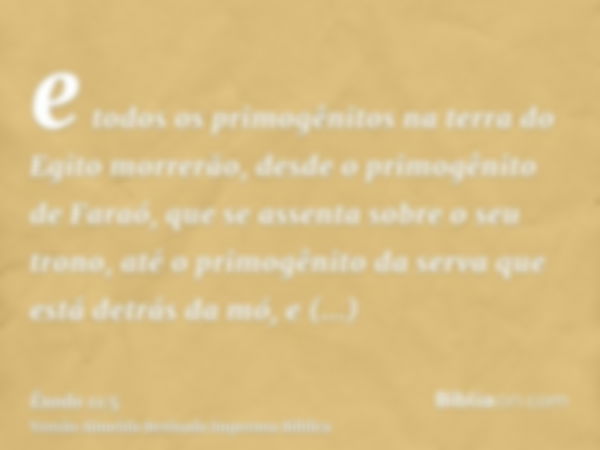 e todos os primogênitos na terra do Egito morrerão, desde o primogênito de Faraó, que se assenta sobre o seu trono, até o primogênito da serva que está detrás d