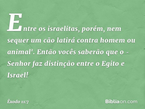 Entre os israelitas, po­rém, nem sequer um cão latirá contra homem ou animal'. Então vocês saberão que o ­Senhor faz distinção entre o Egito e Israel! -- Êxodo 