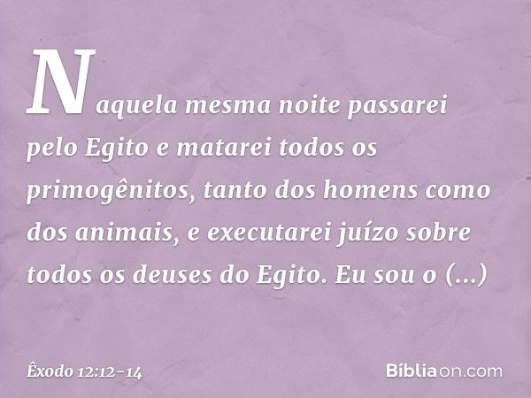 "Naquela mesma noite passarei pelo Egito e matarei todos os primogênitos, tanto dos homens como dos animais, e executarei juízo sobre todos os deuses do Egito. 