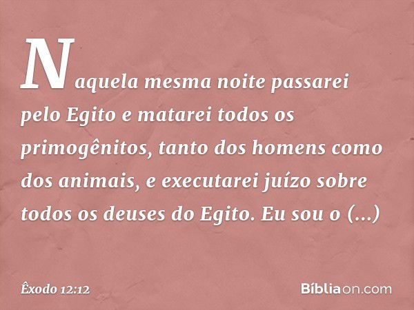 "Naquela mesma noite passarei pelo Egito e matarei todos os primogênitos, tanto dos homens como dos animais, e executarei juízo sobre todos os deuses do Egito. 