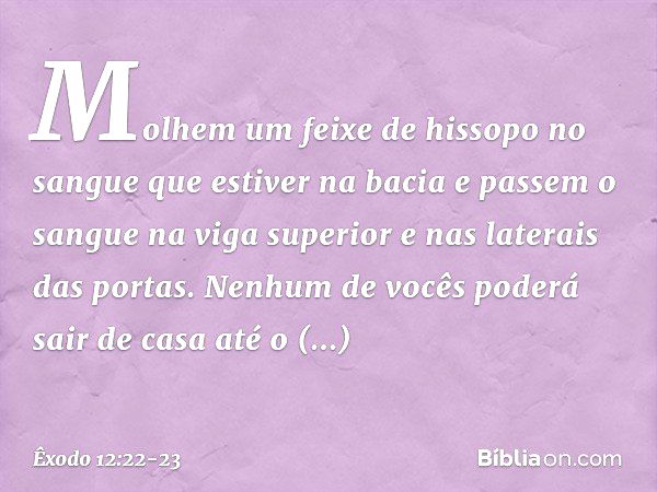 Mo­lhem um feixe de hissopo no sangue que estiver na bacia e passem o sangue na viga superior e nas laterais das portas. Nenhum de vocês pode­rá sair de casa at