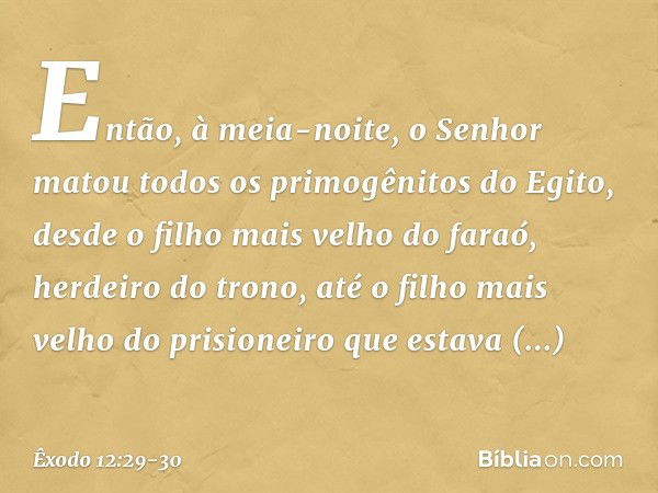 Então, à meia-noite, o Senhor matou todos os primogênitos do Egito, desde o filho mais velho do faraó, herdeiro do trono, até o filho mais velho do prisioneiro 