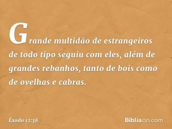 Grande multidão de estrangeiros de todo tipo seguiu com eles, além de grandes rebanhos, tanto de bois como de ovelhas e cabras. -- Êxodo 12:38