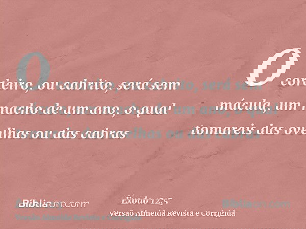O cordeiro, ou cabrito, será sem mácula, um macho de um ano, o qual tomareis das ovelhas ou das cabras