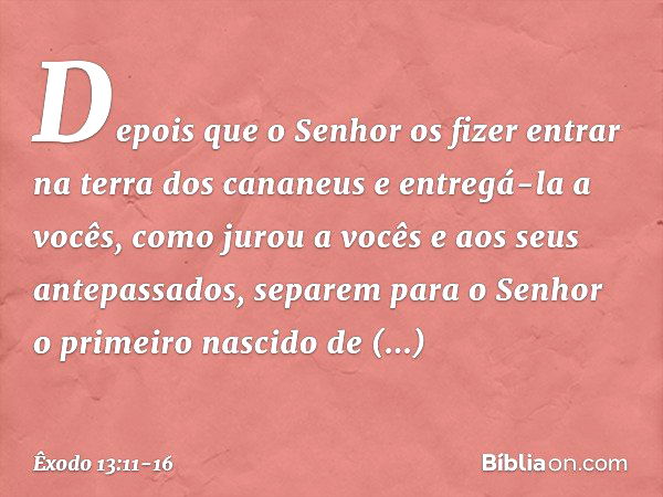 "Depois que o Senhor os fizer entrar na terra dos cananeus e entregá-la a vocês, co­mo jurou a vocês e aos seus antepassados, se­parem para o Senhor o primeiro 