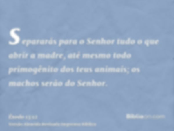 separarás para o Senhor tudo o que abrir a madre, até mesmo todo primogênito dos teus animais; os machos serão do Senhor.