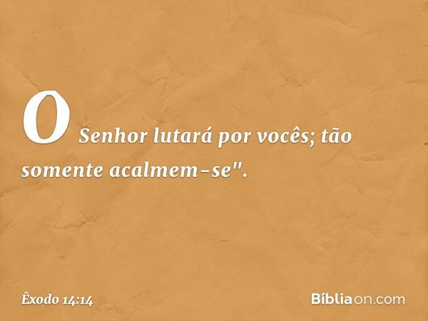 O Senhor lutará por vocês; tão somente acalmem-se". -- Êxodo 14:14