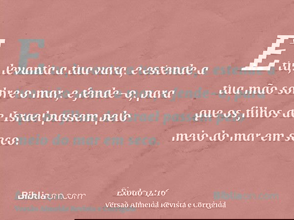 E tu, levanta a tua vara, e estende a tua mão sobre o mar, e fende-o, para que os filhos de Israel passem pelo meio do mar em seco.