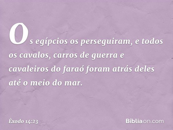 Os egípcios os perseguiram, e todos os cavalos, carros de guerra e cavaleiros do faraó foram atrás deles até o meio do mar. -- Êxodo 14:23