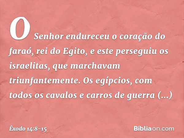 O Senhor endureceu o coração do faraó, rei do Egito, e este perseguiu os israe­litas, que marchavam triunfantemente. Os egíp­cios, com todos os cavalos e carros