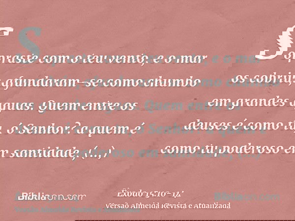 Sopraste com o teu vento, e o mar os cobriu; afundaram-se como chumbo em grandes aguas.Quem entre os deuses é como tu, ó Senhor? a quem é como tu poderoso em sa