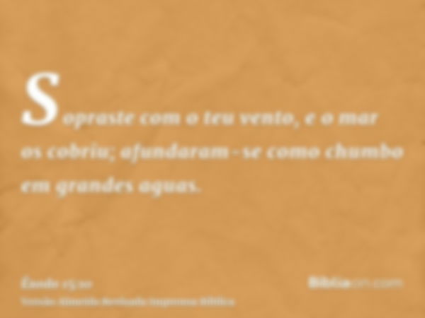 Sopraste com o teu vento, e o mar os cobriu; afundaram-se como chumbo em grandes aguas.