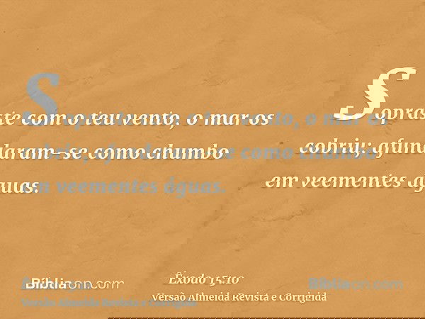 Sopraste com o teu vento, o mar os cobriu; afundaram-se como chumbo em veementes águas.