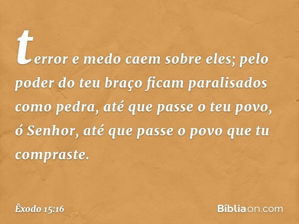 terror e medo caem sobre eles;
pelo poder do teu braço
ficam paralisados como pedra,
até que passe o teu povo,
ó Senhor,
até que passe
o povo que tu compraste. 