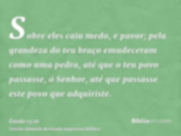 Sobre eles caiu medo, e pavor; pela grandeza do teu braço emudeceram como uma pedra, até que o teu povo passasse, ó Senhor, até que passasse este povo que adqui