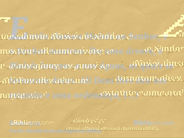 Então clamou Moisés ao Senhor, e o Senhor mostrou-lhe uma árvore, e Moisés lançou-a nas águas, as quais se tornaram doces. Ali Deus lhes deu um estatuto e uma o