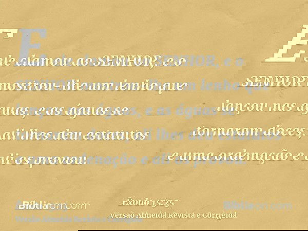E ele clamou ao SENHOR, e o SENHOR mostrou-lhe um lenho que lançou nas águas, e as águas se tornaram doces; ali lhes deu estatutos e uma ordenação e ali os prov
