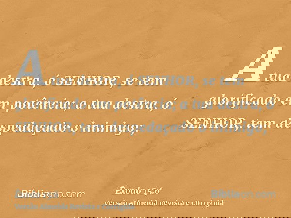 A tua destra, ó SENHOR, se tem glorificado em potência; a tua destra, ó SENHOR, tem despedaçado o inimigo;