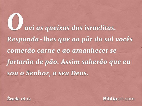 "Ouvi as queixas ­dos israelitas. Responda-lhes que ao pôr do sol vocês comerão carne e ao amanhe­cer se fartarão de pão. Assim saberão que eu sou o Senhor, o s