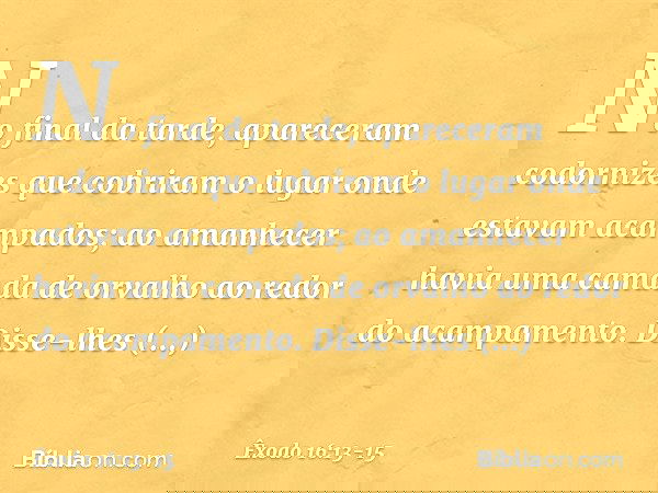 exodo capitulo 16 versiculo 13