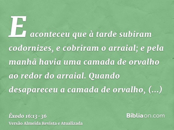 E aconteceu que à tarde subiram codornizes, e cobriram o arraial; e pela manhã havia uma camada de orvalho ao redor do arraial.Quando desapareceu a camada de or