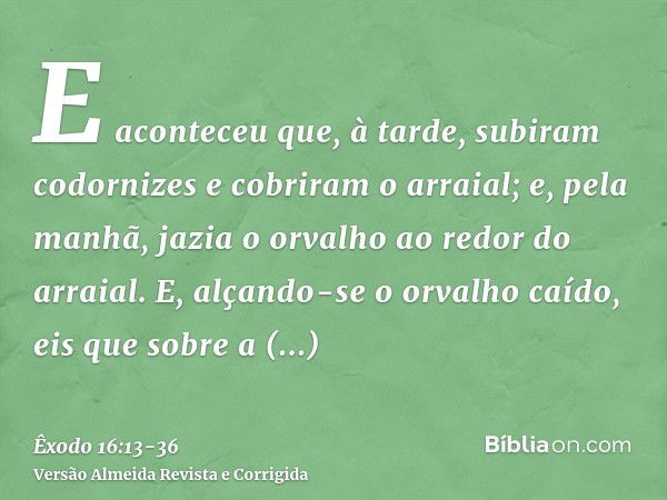 E aconteceu que, à tarde, subiram codornizes e cobriram o arraial; e, pela manhã, jazia o orvalho ao redor do arraial.E, alçando-se o orvalho caído, eis que sob