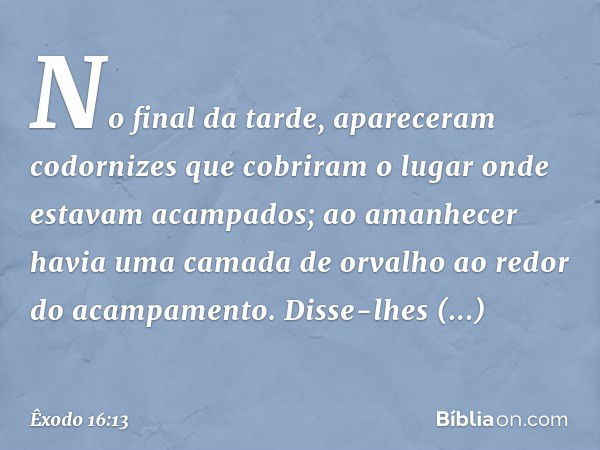 No final da tarde, apareceram codorni­zes que cobriram o lugar onde estavam acampa­dos; ao amanhecer havia uma camada de orva­lho ao redor do acampamento.
Disse