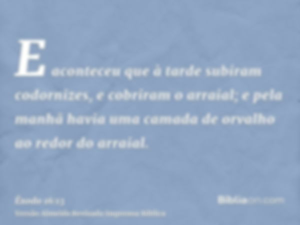 E aconteceu que à tarde subiram codornizes, e cobriram o arraial; e pela manhã havia uma camada de orvalho ao redor do arraial.