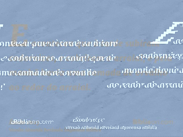 E aconteceu que à tarde subiram codornizes, e cobriram o arraial; e pela manhã havia uma camada de orvalho ao redor do arraial.