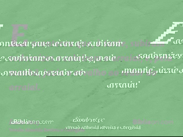 E aconteceu que, à tarde, subiram codornizes e cobriram o arraial; e, pela manhã, jazia o orvalho ao redor do arraial.