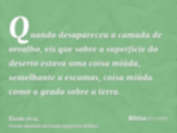 Quando desapareceu a camada de orvalho, eis que sobre a superfície do deserto estava uma coisa miúda, semelhante a escamas, coisa miúda como a geada sobre a ter