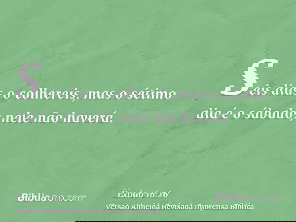 Seis dias o colhereis, mas o sétimo dia é o sábado; nele não haverá.