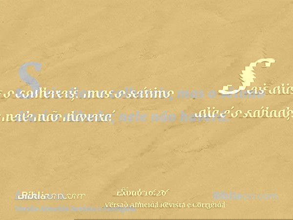 Seis dias o colhereis, mas o sétimo dia é o sábado; nele não haverá.