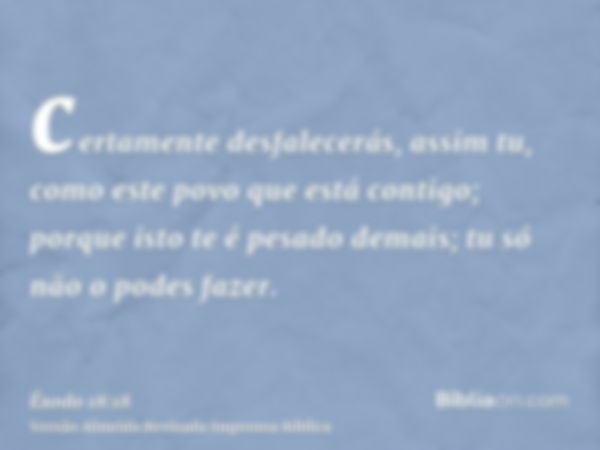 certamente desfalecerás, assim tu, como este povo que está contigo; porque isto te é pesado demais; tu só não o podes fazer.