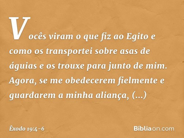 Vo­cês viram o que fiz ao Egito e como os trans­portei sobre asas de águias e os trouxe para jun­to de mim. Agora, se me obedecerem fielmente e guardarem a minh