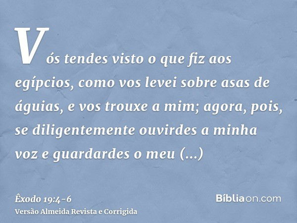 Vós tendes visto o que fiz aos egípcios, como vos levei sobre asas de águias, e vos trouxe a mim;agora, pois, se diligentemente ouvirdes a minha voz e guardarde