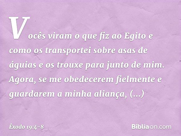 Vo­cês viram o que fiz ao Egito e como os trans­portei sobre asas de águias e os trouxe para jun­to de mim. Agora, se me obedecerem fielmente e guardarem a minh