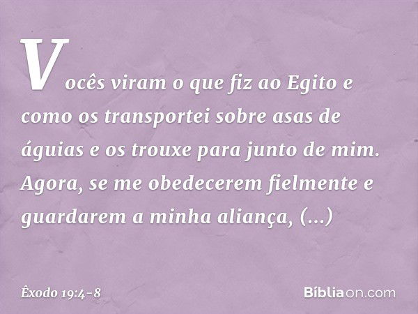 Vo­cês viram o que fiz ao Egito e como os trans­portei sobre asas de águias e os trouxe para jun­to de mim. Agora, se me obedecerem fielmente e guardarem a minh