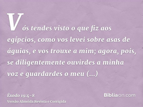 Vós tendes visto o que fiz aos egípcios, como vos levei sobre asas de águias, e vos trouxe a mim;agora, pois, se diligentemente ouvirdes a minha voz e guardarde