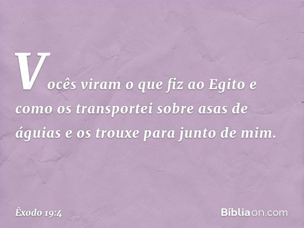 Vo­cês viram o que fiz ao Egito e como os trans­portei sobre asas de águias e os trouxe para jun­to de mim. -- Êxodo 19:4