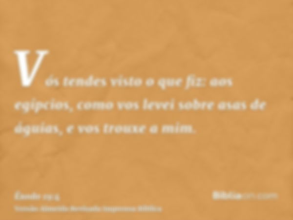 Vós tendes visto o que fiz: aos egípcios, como vos levei sobre asas de águias, e vos trouxe a mim.