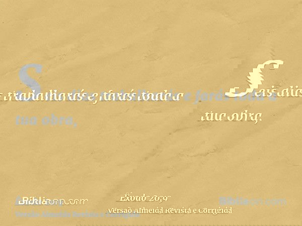 Seis dias trabalharás e farás toda a tua obra,