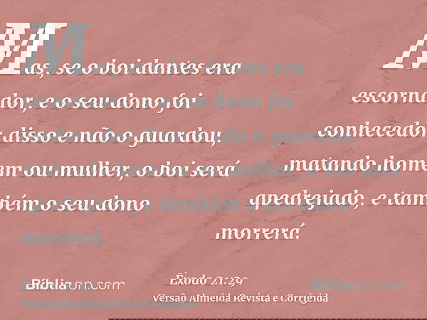 Mas, se o boi dantes era escornador, e o seu dono foi conhecedor disso e não o guardou, matando homem ou mulher, o boi será apedrejado, e também o seu dono morr