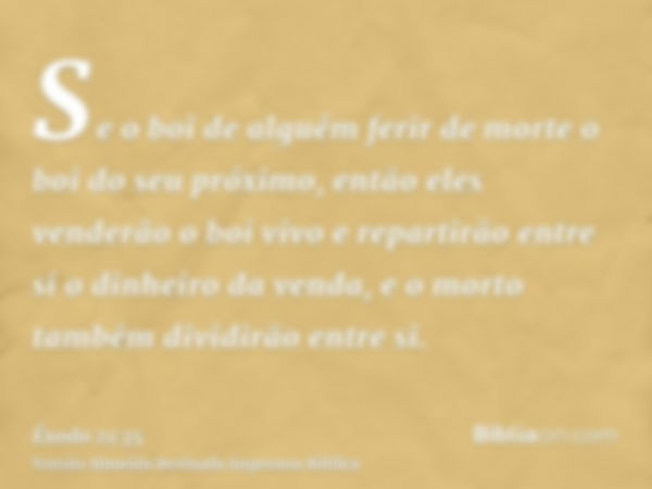 Se o boi de alguém ferir de morte o boi do seu próximo, então eles venderão o boi vivo e repartirão entre si o dinheiro da venda, e o morto também dividirão ent