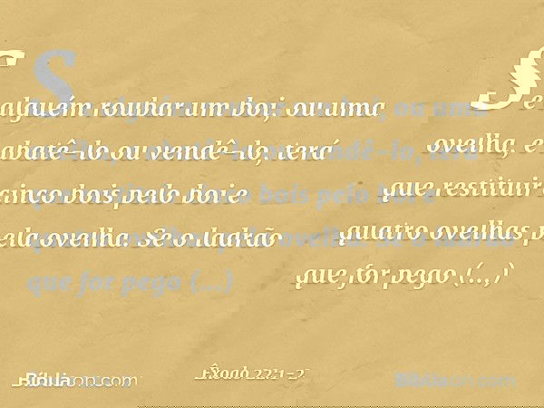 "Se alguém roubar um boi, ou uma ovelha, e abatê-lo ou vendê-lo, terá que restituir cinco bois pelo boi e quatro ovelhas pela ovelha. "Se o ladrão que for pego