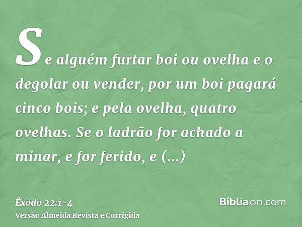 Se alguém furtar boi ou ovelha e o degolar ou vender, por um boi pagará cinco bois; e pela ovelha, quatro ovelhas.Se o ladrão for achado a minar, e for ferido, 